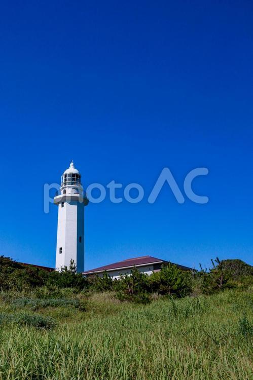 灯台 灯台,野島崎灯台,館山の写真素材