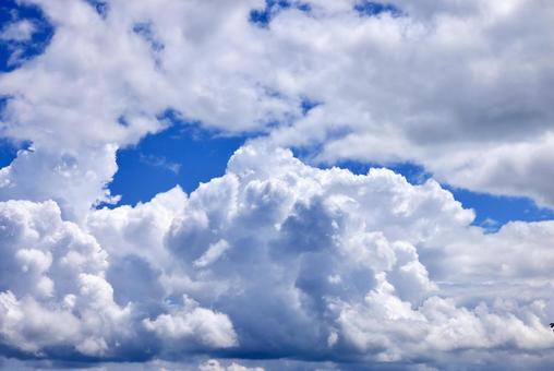 夏の空 夏の空の写真