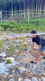 河川敷でスイカ割りをする男性 河川敷でスイカ割りをする男性 川,岩,自然の写真素材