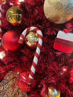 クリスマスツリー クリスマス,クリスマスの飾り,クリスマスツリーの写真素材