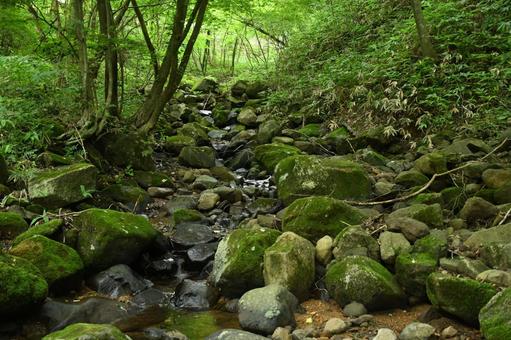 山と川 山と川の写真