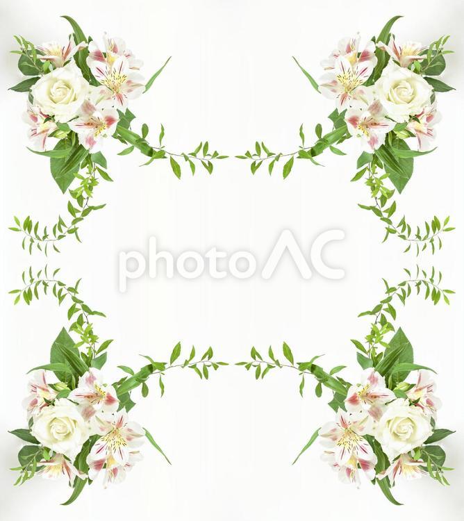 主に白とグリーンの花柄素材 花,白,バラの写真素材