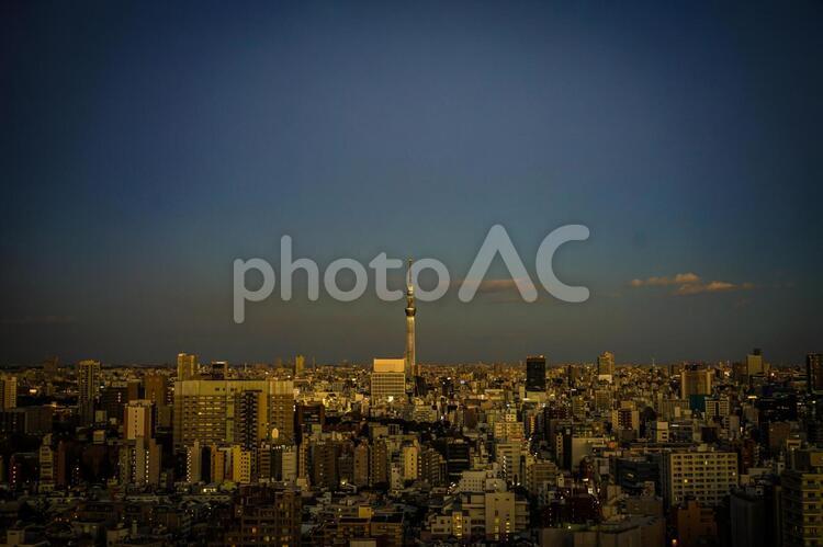 文京シビックセンターからの夕景（スカイツリー方面）６ skytree,tokyoskytree,オフィスビルの写真素材