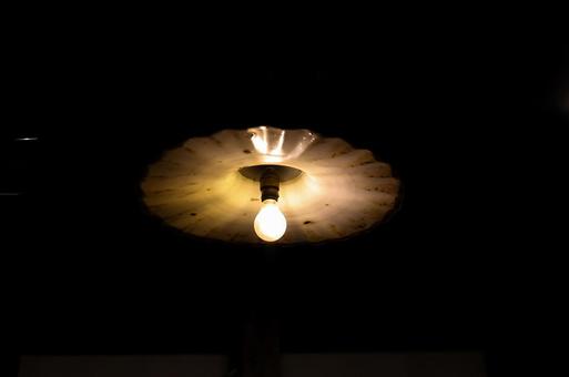 電球 電球の写真