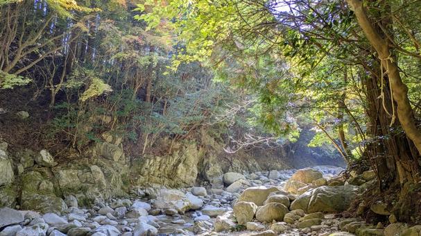 光芒射す、森の奥深く 山間,今治市,鈍川渓谷の写真素材