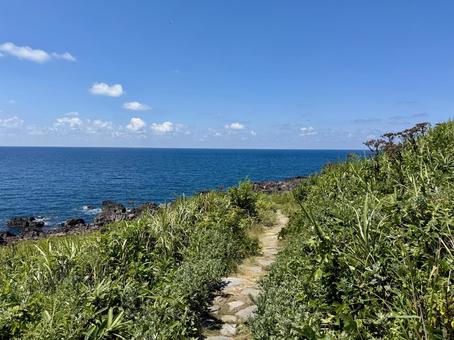 福井県東尋坊雄島島内の景色 福井県東尋坊雄島島内の景色 雄島,獣道,小道の写真素材