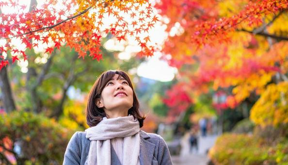 紅葉狩り  紅葉を見上げて楽しむ女性 紅葉狩り  紅葉を見上げて楽しむ女性の写真