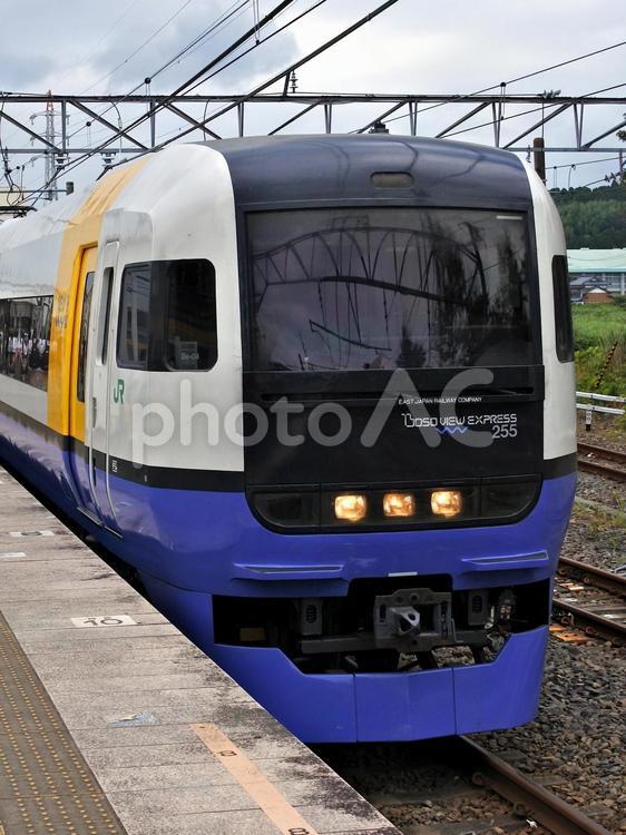 255系わかしお 255系,jr東日本,房総特急の写真素材
