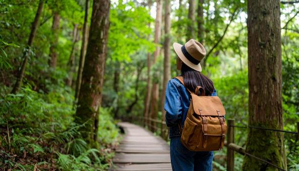 森林浴をする日本人女性03 森林浴をする日本人女性03の写真