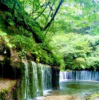 小さな滝の写真