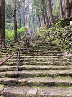 苔むす石段と杉木立 苔むす石段と杉木立 石段,苔むす風景,杉林の写真素材