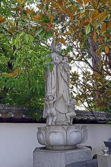 泉龍寺(松本) 泉龍寺(松本)の写真