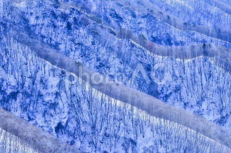 真冬の尾根 尾根,雪,冬の写真素材