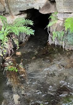 Photo, water, water source, cave, 