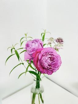 花 花 花,お花,花瓶の写真素材
