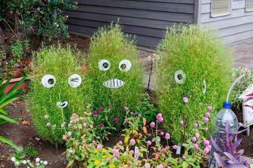 笑う庭の植物 笑う庭の植物 植物,庭,笑顔の写真素材