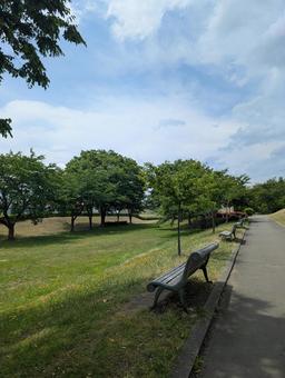 散歩道 散歩道 散歩道,公園,晴れの写真素材