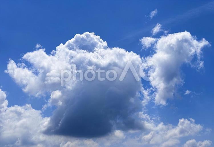 【風景写真】夏空 夏空,空,雲の写真素材