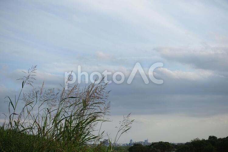 空と雲 空,雲,空と雲の写真素材