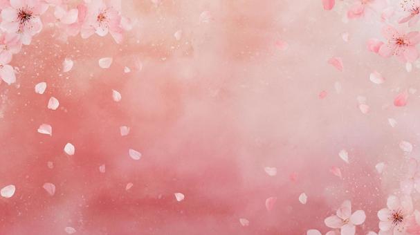 桜舞うピンク背景 桜舞うピンク背景の写真