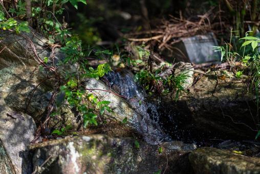 木漏れ日と岩肌の小川 自然,風景,森林の写真素材