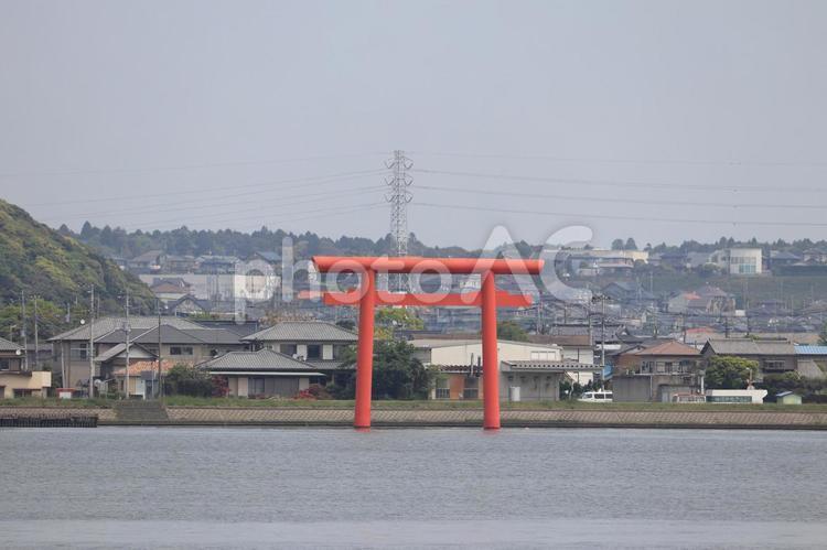茨城県鹿嶋市　鹿島神宮　大船津一之鳥居　 鹿島神宮,水上鳥居,鳥居の写真素材