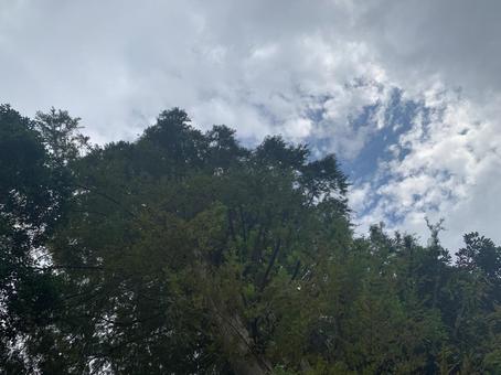 雨上がりの空の写真