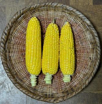 とうもろこし02 とうもろこし02 とうもろこし,もぎたて,コーンの写真素材