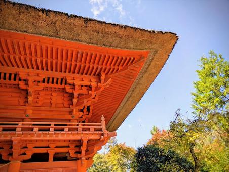 六殿宮 参拝,お参り,神社の写真素材