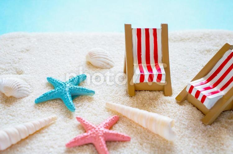 夏　ビーチのイメージ 貝殻,貝がら,夏の写真素材