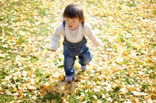 銀杏の落ち葉と子ども 銀杏の落ち葉と子ども 秋,銀杏,イチョウの写真素材