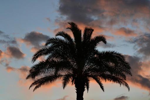 Sunset and Phoenix, JPG
