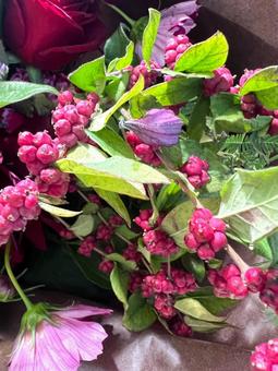 秋のこっくりした赤 花,草花,アップの写真素材