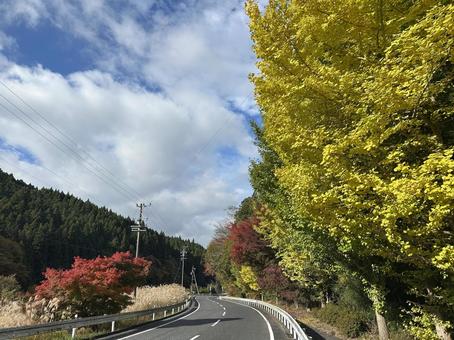 紅葉が美しい道　2 紅葉,ドライブ,秋の写真素材