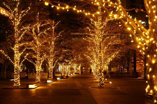 イルミネーション イルミネーション 自然,風景,イルミネーションの写真素材