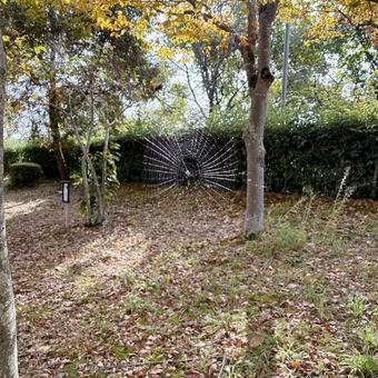 蜘蛛の巣 蜘蛛の巣,自然,秋の写真素材