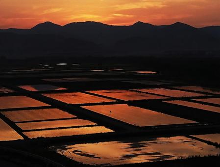 日暮れの水田 日暮れの水田の写真