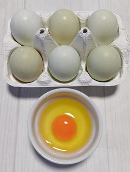 アローカナ アローカナの写真