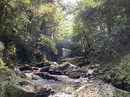 川 川の写真