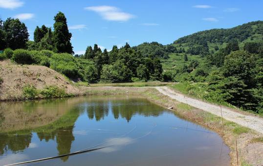 山古志虫亀 野池と空 山古志虫亀 野池と空 棚田,木,水面の写真素材