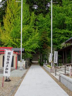 国分一宮諏訪神社⑶ 国分一宮諏訪神社⑶の写真