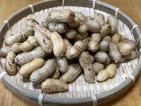 生の落花生の写真