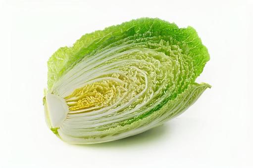 白菜半玉 白菜半玉の写真
