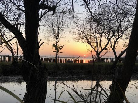 夕焼け 夕焼けの写真