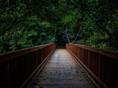 烏川渓谷緑地の吊り橋 ハイキング,マイナスイオン,森林の写真素材