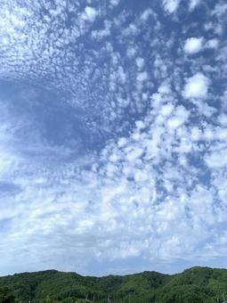 初夏の羊雲 初夏の羊雲の写真