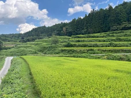 吉延の棚田 吉延の棚田 高知県,土佐,天空の郷の写真素材