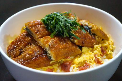 うな丼（アップ） うな丼,うなぎ丼,鰻丼の写真素材