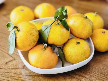 みかん③ 果物,くだもの,冬の写真素材