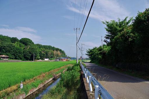 水田のある夏の田舎の風景 水田のある夏の田舎の風景 田園風景,田園,水田の写真素材
